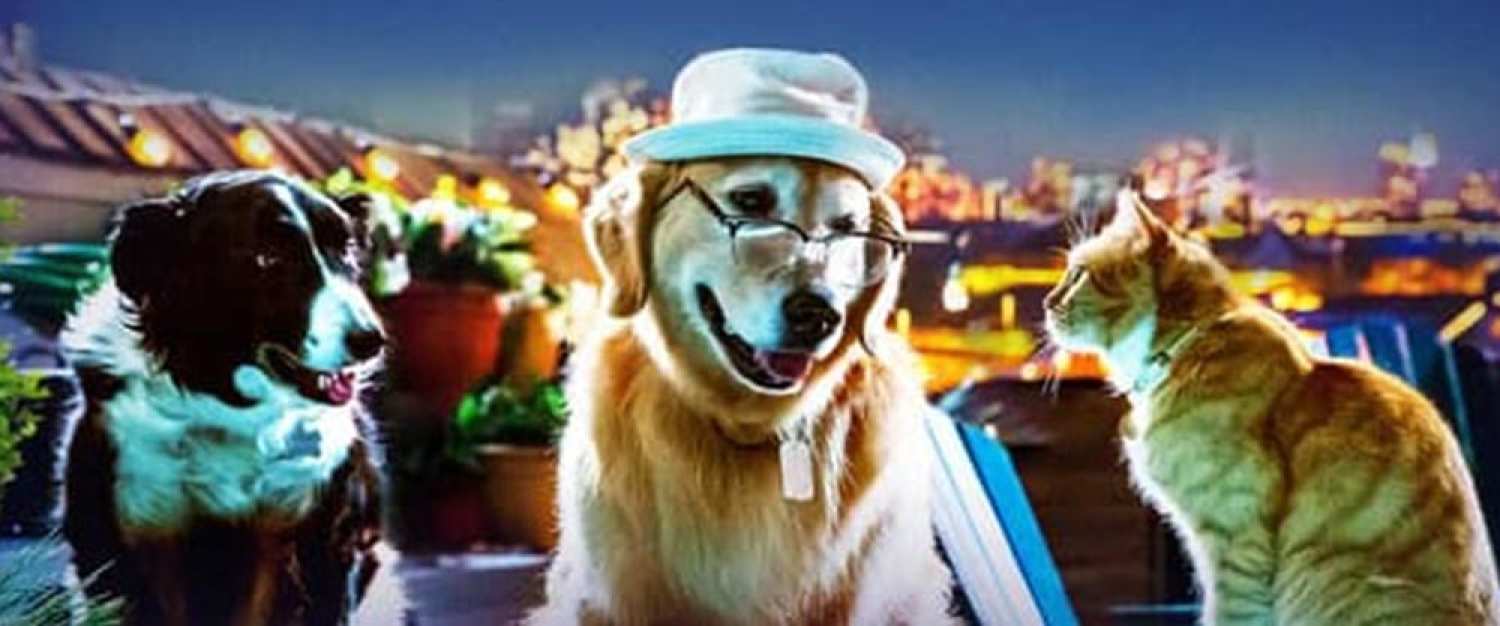 Cines IMF Finestrat, Ondara y Torrevieja