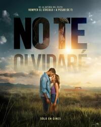 poster No te olvidaré